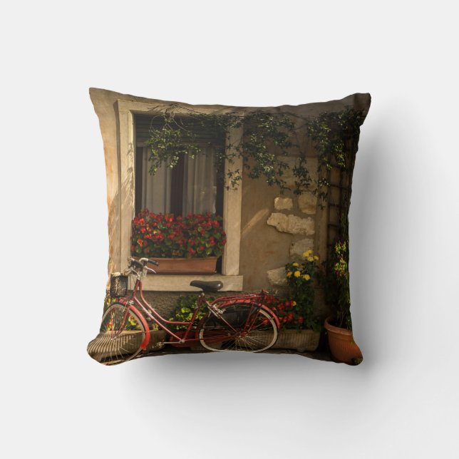 BICYCLE LEANING ON HOUSE THROW PILLOW (Front)
