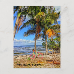 Bicycle on the beach - Pine Island Florida Postcard