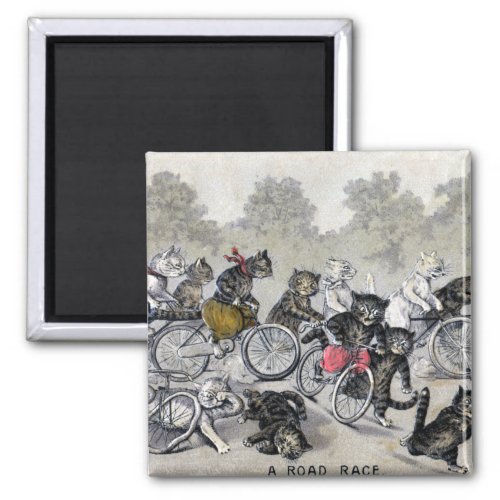 Bicycle Riding Cats Magnet