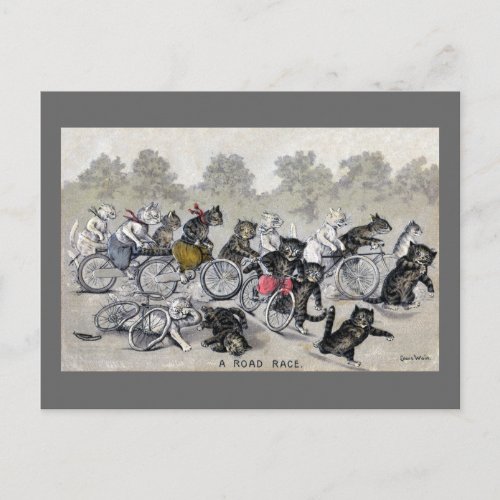 Bicycle Riding Cats Postcard