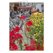 Bicycles, Historic City Center of Bruges, Belgium (Front)