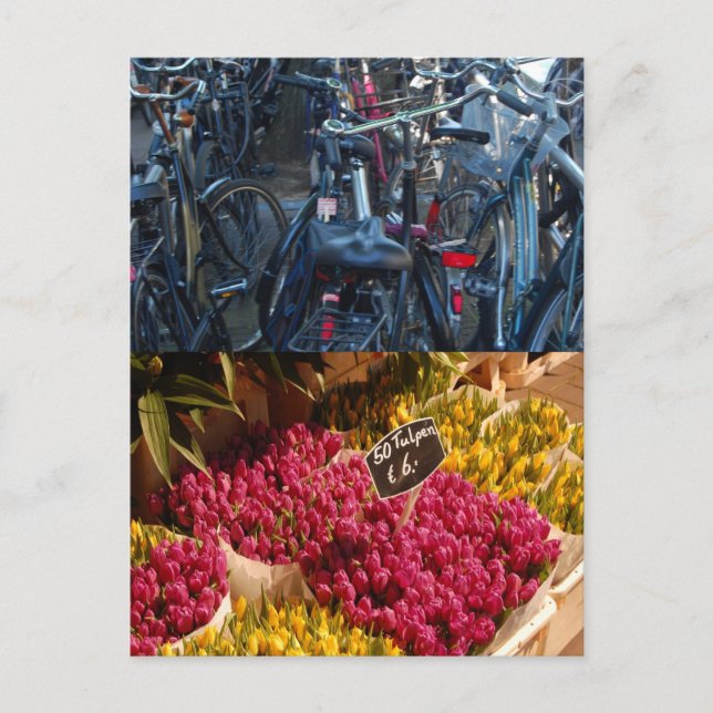 Bicycles Postcard (Front)