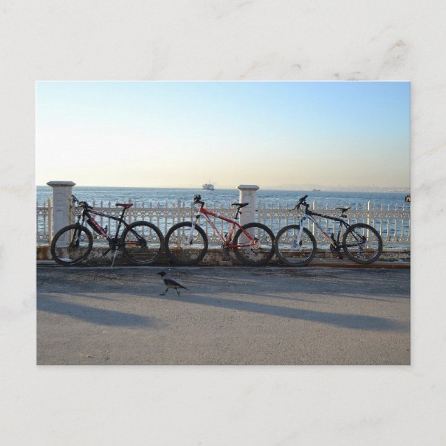 Bicycles with a Crow Postcard (Front)
