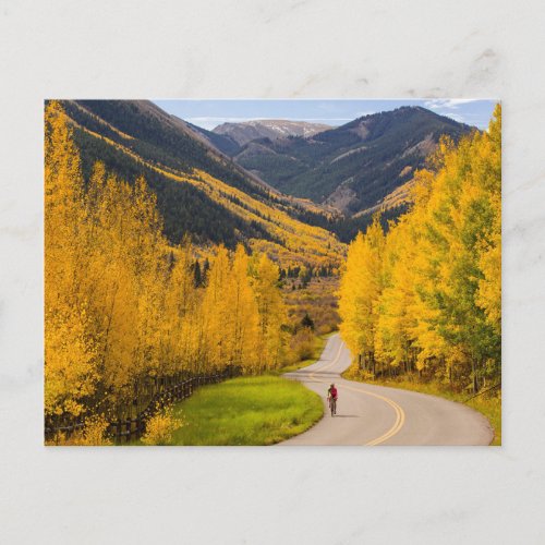 Bicyclist In Colorado  Postcard
