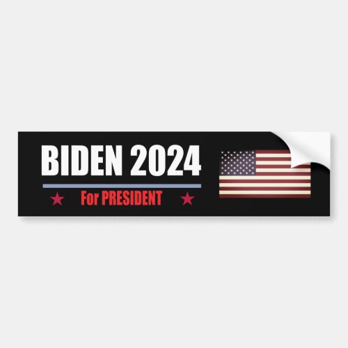 Biden 2024  bumper sticker