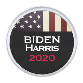BIDEN HARRIS 2020 Americana Campaign Silver Finish Lapel Pin