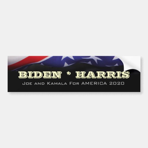 BIDEN HARRIS 2020 Bumper Sticker Campaign 2020