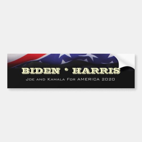 BIDEN HARRIS 2020 Campaign Bumper Sticker