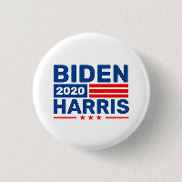 Biden Harris 2020 Election Campaign Rally Pinback
