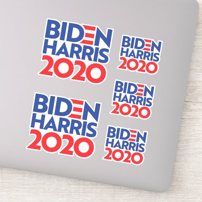 BIDEN HARRIS 2020 STICKER (Detail)