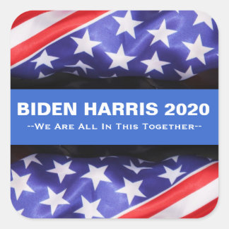 BIDEN HARRIS 2020 USA Flag Campaign Stickers