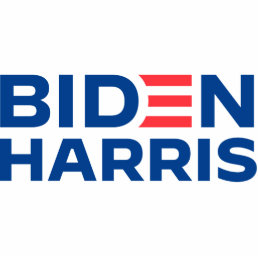 Biden Harris Cutout