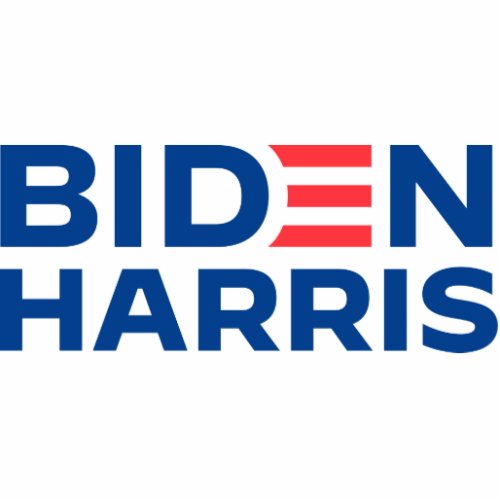 Biden Harris Cutout