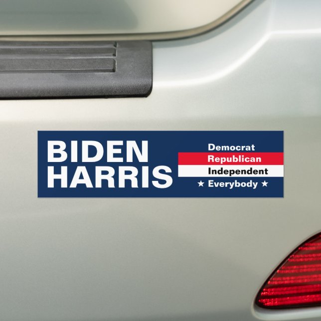 Biden Harris Election Blue White Types of Voters Bumper Sticker (On Car)