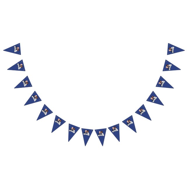 Biden Harris Party  Bunting Flags (All)