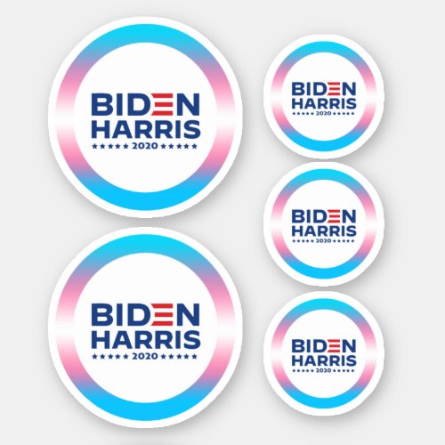 BIDEN HARRIS _ Trans Pride Sticker
