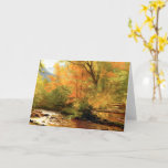 Bierstadt - Brook in Woods Card