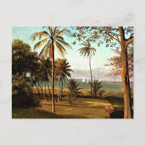 Bierstadt _ Florida Scene Postcard