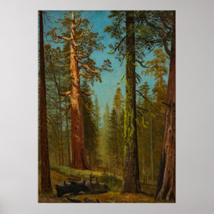Bierstadt Giant Sequoia Forest Painting Poster