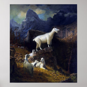 Bierstadt - Rocky Mountain Goats Poster