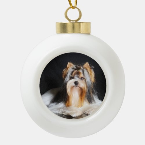 Biewer Terrier Christmas Ornament