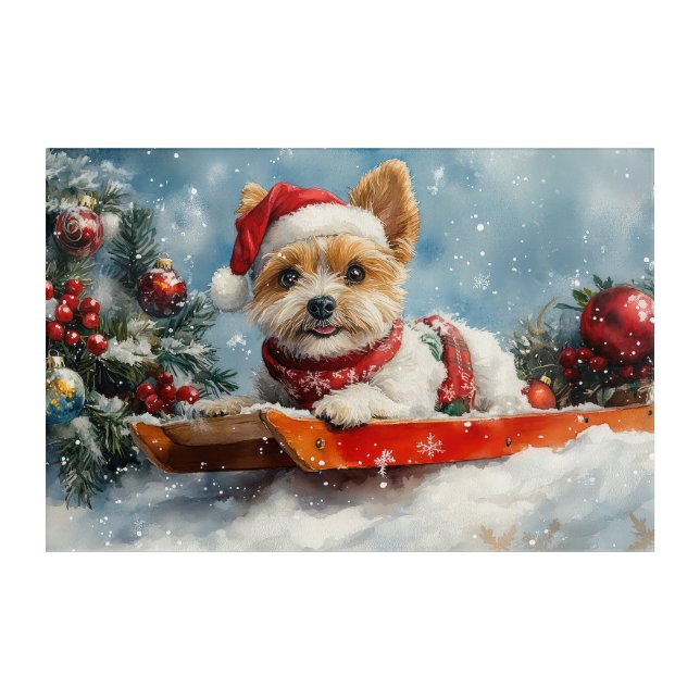 Biewer Terrier Dog in Sledge Let it Snow Christmas Acrylic Print (Front)