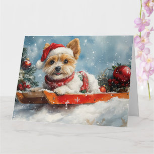 Biewer Terrier Dog in Sledge Let it Snow Christmas Card