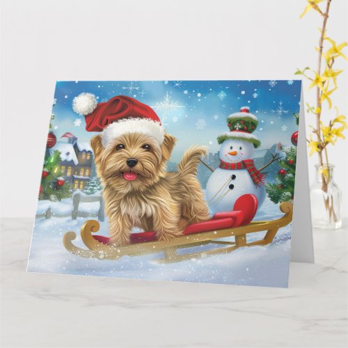 Biewer Terrier Dog in Sleigh Snow Christmas Card