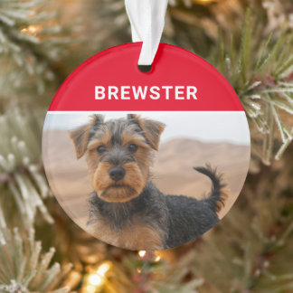 Biewer Terrier Dog's Name and Photo Christmas Ornament