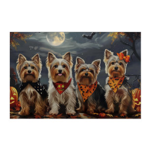 Biewer Terrier Halloween Spooky  Acrylic Print