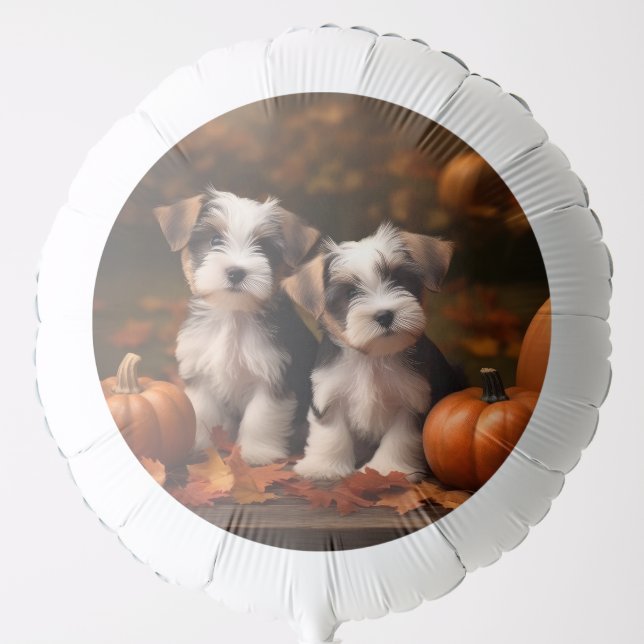 Biewer Terrier Puppy Autumn Delight Pumpkin  Balloon (Front)