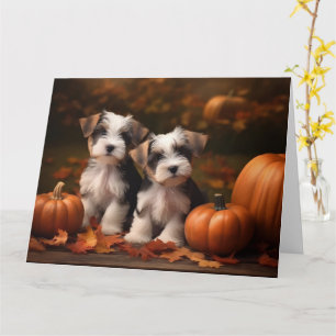 Biewer Terrier Puppy Autumn Delight Pumpkin  Card