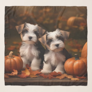 Biewer Terrier Puppy Autumn Delight Pumpkin  Scarf