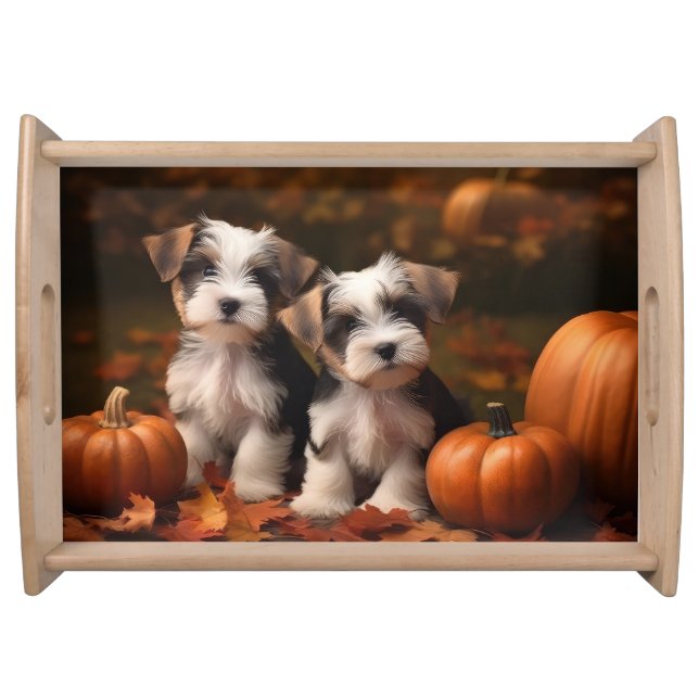 Biewer Terrier Puppy Autumn Delight Pumpkin  Serving Tray (Front)