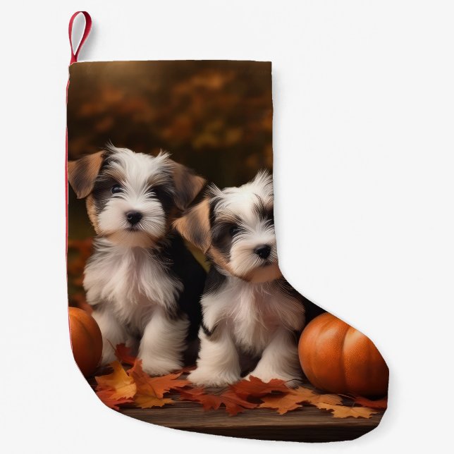Biewer Terrier Puppy Autumn Delight Pumpkin  Small Christmas Stocking (Front)