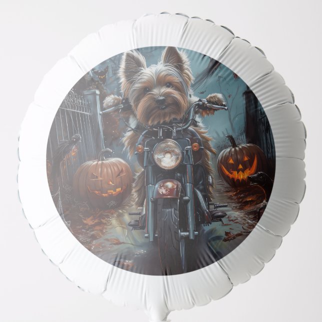 Biewer Terrier Riding Motorcycle Halloween Scary  Balloon (Front)