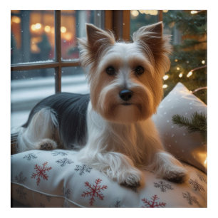 Biewer Terrier With Christmas Lights Holiday Acrylic Print