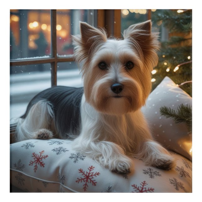 Biewer Terrier With Christmas Lights Holiday Acrylic Print (Front)