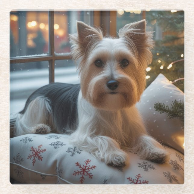 Biewer Terrier With Christmas Lights Holiday Glass Coaster (Front)