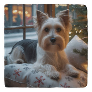 Biewer Terrier With Christmas Lights Holiday Trivet