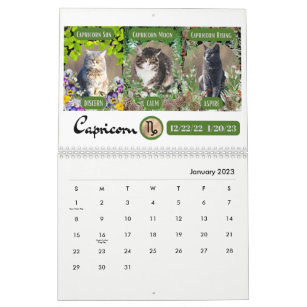 Big 3 Signs as Cats in the Garden 2023 Calendar