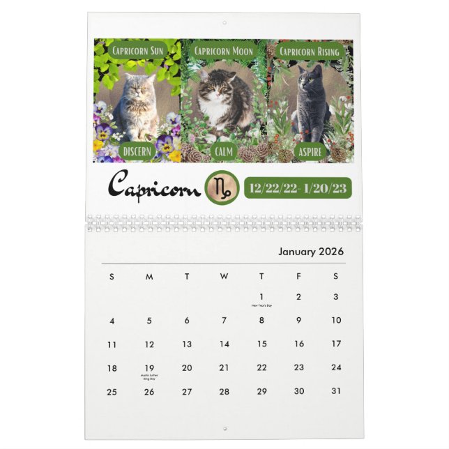 Big 3 Signs as Cats in the Garden 2023 Calendar (Jan 2026)