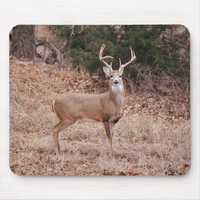 Big and Beautiful Buck Deer Antlers in Winter Mouse Pad (Front)