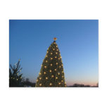 Big and Little Christmas Trees I Holiday Postcard