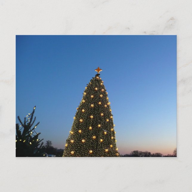 Big and Little Christmas Trees I Holiday Sunset (Front)