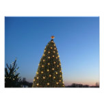 Big and Little Christmas Trees I Holiday Sunset Photo Print
