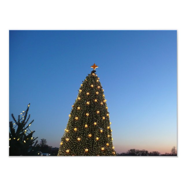 Big and Little Christmas Trees I Holiday Sunset Photo Print (Front)