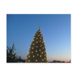 Big and Little Christmas Trees I Holiday Sunset Postcard