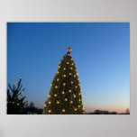 Big and Little Christmas Trees I Holiday Sunset Poster
