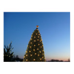 Big and Little Christmas Trees I Poster